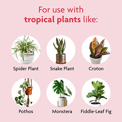 Miracle-Gro Tropical Houseplant Food - Liquid Fertilizer for Tropical Houseplants, 8 fl. oz., 2-Pack