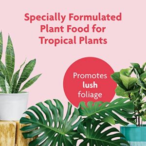 Miracle-Gro Tropical Houseplant Food - Liquid Fertilizer for Tropical Houseplants, 8 fl. oz., 2-Pack