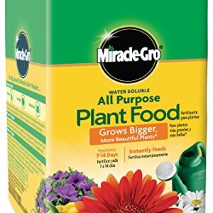 Miracle-Gro Indoor Plant Food Spikes, Includes 48 Spikes - Continuous Feeding for All Flowering and Foliage Houseplants - NPK 6-12-6, 1 Pack of 48 Spikes & Water Soluble All Purpose Plant Food, 8 Oz.