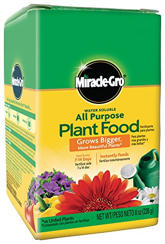 Miracle-Gro Indoor Plant Food Spikes, Includes 48 Spikes - Continuous Feeding for All Flowering and Foliage Houseplants - NPK 6-12-6, 1 Pack of 48 Spikes & Water Soluble All Purpose Plant Food, 8 Oz.