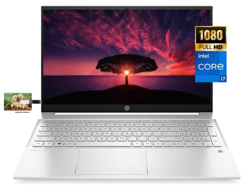 HP Pavilion 15.6'' FHD Business Laptop, 11th Gen Intel Core i7-1165G7 Processor, Windows 10 Pro, 32GB RAM, 2TB SSD, Fast Charge, SD Reader, HDMI, Wi-Fi, Bluetooth, Webcam, 32GB Tela USB Card