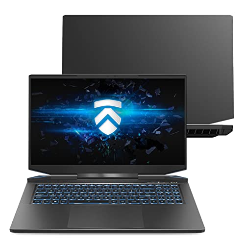 Eluktronics Prometheus XVII (2022) 17.3" Liquid Cooled Gaming Laptop: Intel Core i7-12700H, NVIDIA RTX 3070 Ti, Thunderbolt 4, 1TB PCIe Gen 4 SSD, 16GB DDR5 RAM, Win 11 Home, 17.3 QHD 240Hz Notebook