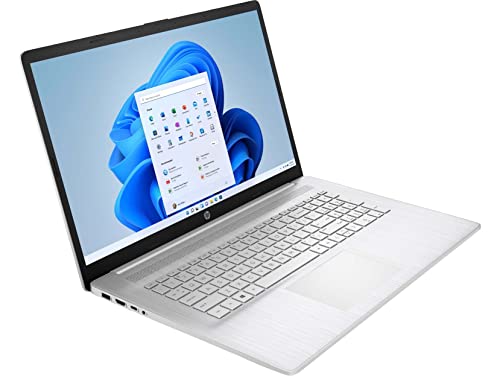 HEWLETT PACKARD HP 17 Professional High Performance Slim Laptop in Silver Six Core Ryzen 5 up to 4GHz 8GB RAM 128GB SSD + 1TB HDD 17.3 HD+ WiFi HDMI W11 (17-CP000-Renewed)