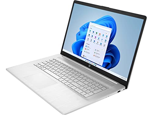 HEWLETT PACKARD HP 17 Professional High Performance Slim Laptop in Silver Six Core Ryzen 5 up to 4GHz 8GB RAM 128GB SSD + 1TB HDD 17.3 HD+ WiFi HDMI W11 (17-CP000-Renewed)