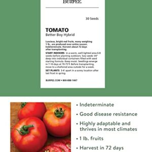 Burpee Better Boy Hybrid Tomato Seeds | Large Slicing Red Tomato Variety | 30 Non-GMO Vegetable Seeds for Planting | Disease-Resistant Tomato for Garden