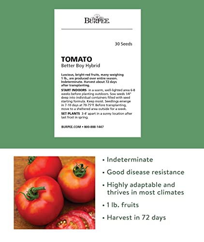 Burpee Better Boy Hybrid Tomato Seeds | Large Slicing Red Tomato Variety | 30 Non-GMO Vegetable Seeds for Planting | Disease-Resistant Tomato for Garden