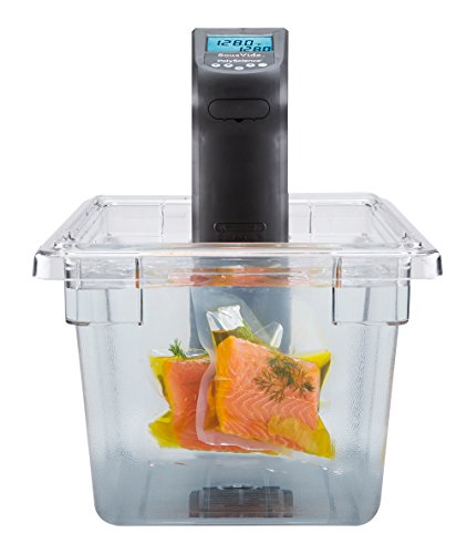 PolyScience Culinary CREATIVE Series Sous Vide Immersion Circulator, black