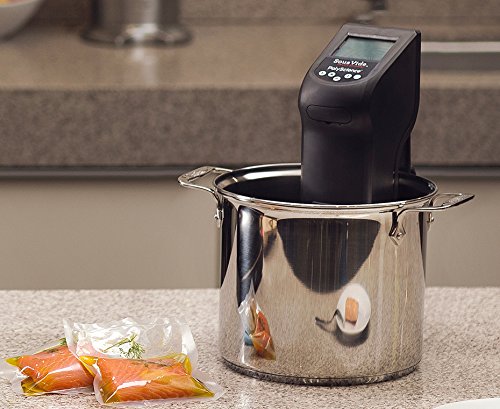 PolyScience Culinary CREATIVE Series Sous Vide Immersion Circulator, black