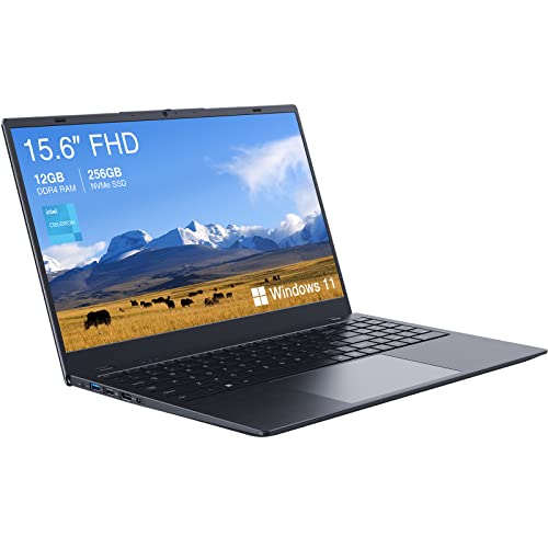 ECOHERO 2023 Laptop, 15.6" 1920x1080 FHD IPS Display, 12GB DDR4 RAM/256GB NVMe SSD, Intel N5095 Quad Core, Windows 11 laptops Computers, Dual Band WiFi, Bluetooth, Support Type c PD3.0 Fast Charging