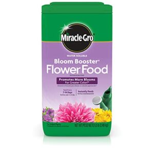 miracle-gro water soluble bloom booster flower food – big blooms for vibrant color, 5.5 lb.