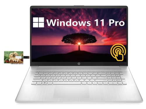 HP 17.3" HD Touchscreen Business Laptop, AMD Ryzen 5-5500U, Windows 11 Pro, 32GB RAM, 1TB SSD, HDMI, Wi-Fi, Numeric Keypad, Bluetooth, Webcam, 32GB Durlyfish USB Card