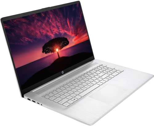 HP 17.3" HD Touchscreen Business Laptop, AMD Ryzen 5-5500U, Windows 11 Pro, 32GB RAM, 1TB SSD, HDMI, Wi-Fi, Numeric Keypad, Bluetooth, Webcam, 32GB Durlyfish USB Card