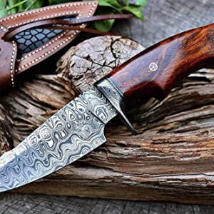 BIGCAT ROAR 10" Handmade Damascus Hunting Knife with Leather Sheath - Ideal for Skinning, Camping, Outdoor - EDC Fixed Blade Bushcraft Knife with Walnut Wood Handle - Predator Hunter