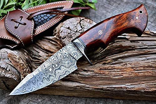 BIGCAT ROAR 10" Handmade Damascus Hunting Knife with Leather Sheath - Ideal for Skinning, Camping, Outdoor - EDC Fixed Blade Bushcraft Knife with Walnut Wood Handle - Predator Hunter