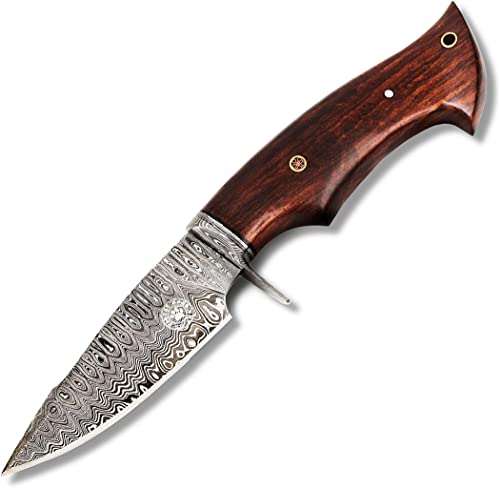 BIGCAT ROAR 10" Handmade Damascus Hunting Knife with Leather Sheath - Ideal for Skinning, Camping, Outdoor - EDC Fixed Blade Bushcraft Knife with Walnut Wood Handle - Predator Hunter