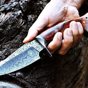 BIGCAT ROAR 10" Handmade Damascus Hunting Knife with Leather Sheath - Ideal for Skinning, Camping, Outdoor - EDC Fixed Blade Bushcraft Knife with Walnut Wood Handle - Predator Hunter