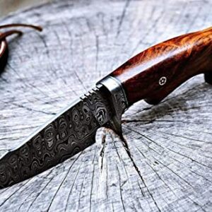 BIGCAT ROAR 10" Handmade Damascus Hunting Knife with Leather Sheath - Ideal for Skinning, Camping, Outdoor - EDC Fixed Blade Bushcraft Knife with Walnut Wood Handle - Predator Hunter