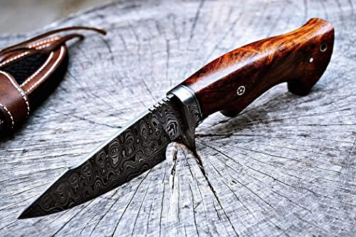 BIGCAT ROAR 10" Handmade Damascus Hunting Knife with Leather Sheath - Ideal for Skinning, Camping, Outdoor - EDC Fixed Blade Bushcraft Knife with Walnut Wood Handle - Predator Hunter