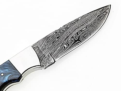 ONEHOPE BLADES Handmade Damascus Steel Hunting Knife With Leather Sheath, 8 inches Fixed Blade Tactical Survival Hand Forged Hunting Bushcraft Camping Knife (BLUE)