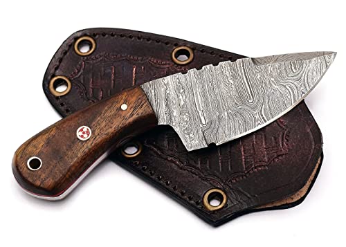 SSSI CRAFT Handmade Fixed Blade High Carbon Steel , Damascus Steel Hunting Knives ,EDC , Mini Neck , Survival and Pocket Knife For Men With Sheath