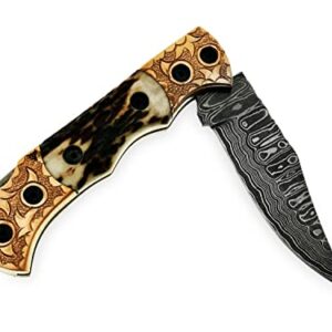 Back Lock Handmade Folding knife Pocket knife Damascus Steel Blade Back Lock Stag Horn Handle Leather Sheath BW-5160