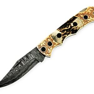 Back Lock Handmade Folding knife Pocket knife Damascus Steel Blade Back Lock Stag Horn Handle Leather Sheath BW-5160