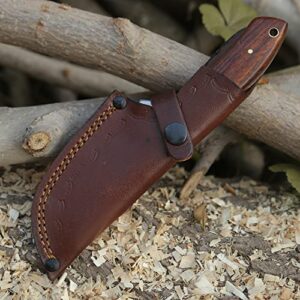 WARIVO KNIFE Hunting knife Full Tang Damascus Gut Hook Knife- EDC 8-inch Gut Hook Skinning knife for Hunting Fixed Blade Knife with Sheath Deer Gutting knives with Rosewood handle