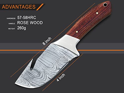 WARIVO KNIFE Hunting knife Full Tang Damascus Gut Hook Knife- EDC 8-inch Gut Hook Skinning knife for Hunting Fixed Blade Knife with Sheath Deer Gutting knives with Rosewood handle