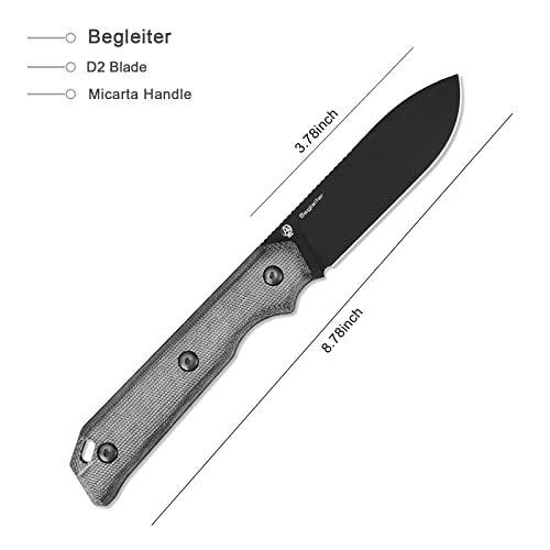 Kizer Begleiter Fixed Blade Knife 3.78 Inches D2 Blade Steel Black Micarta Handle 1045C1