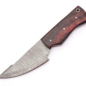 Sky Knives Handmade Fixed Blade High Carbon Steel, Damascus Hunting Knives, Bushcraft EDC Survival and Pocket Knife For Men With Sheath. (8 Inch Knife)