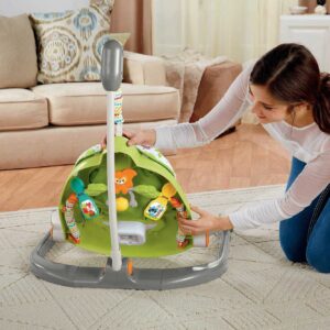 Fisher-Price Woodland Friends SpaceSaver Jumperoo [Amazon Exclusive]