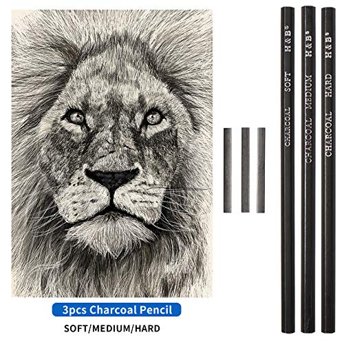 YBLANDEG Sketching and Drawing Colored Pencils Set 96-Pieces,Art Supplies Painting Graphite Professional Art Pencils Kit,Gifts for Teens & Adults Drawing Charcoal Tool Set