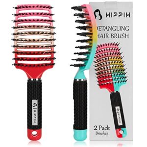 boar bristle hair brush 2 pack, hippih wet & dry no pull curved vented hair brush, styling voremy magical brush detangler for kids & men, hairbrush for women can adds shine & smooth curly thick hair