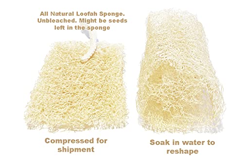 Introduction Price! 2ct Natural Loofah Sponge,Loofah Exfoliating Body Scrubber&Loofa Body Sponge,Shower Sponges for Men/Women,Skin Care,Body Scrub Exfoliator,Kitchen,Cleansing Exfoliating Sponge