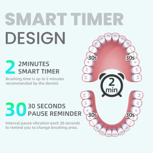 7AM2M Sonic Electric Toothbrush for Adults and Kids, Stocking Stuffers for Adults, with 6 Brush Heads, 5 Modes with 2 Minutes Build in Smart Timer, Roman Column Handle Design (Pink)
