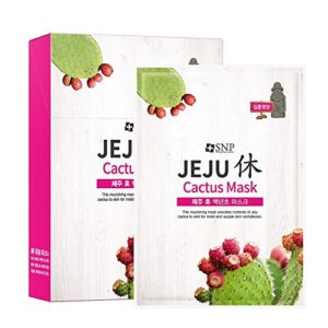 snp – jeju rest cactus korean face sheet mask – nourishing & moisturizing effects for all sensitive skin types – 10 sheets beauty facial masks skincare for women and men