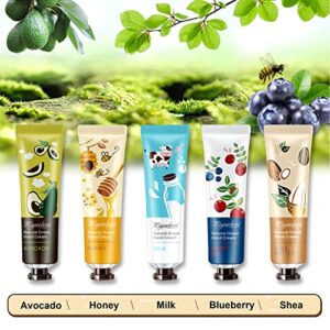 5 Pack Hand Cream For Chapped Hands,Natural Botanical Fragrance Hand Lotion,Mini Hand Cream For Working Dry Hands,Moisturizing Travel Size Hand Cream Set with Natural Botanical For Women-30ml（Fruity）