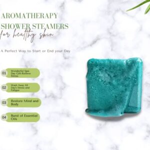 Shower Steamers - Set of 9 Shower Bombs with Essential Oils - Eucalyptus 65 gr Each (Box)