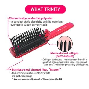 Trinity-Folding Hair Brush, Foldable Anti Static Hair Detangler Brush, Women Travel Size Hair Detangling Brush, Hair Styling Brush for Toiletry Bag Travel Purse Locker Gym