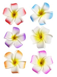 hipgirl 2.5″ hawaiian hair flower clip hair barrettes for women match hawaiian dresses for women luau(6pc cute hair clips for thin hair,hair clips for girls plumeria hawaii hair accessories for women)