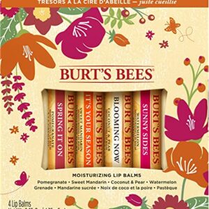 Burt's Bees Gifts, 4 Lip Balm Products, Just Picked Set - Pomegranate, Sweet Mandarin, Coconut Pear & Watermelon (4 Pack)