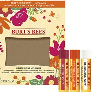 Burt's Bees Gifts, 4 Lip Balm Products, Just Picked Set - Pomegranate, Sweet Mandarin, Coconut Pear & Watermelon (4 Pack)