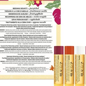 Burt's Bees Gifts, 4 Lip Balm Products, Just Picked Set - Pomegranate, Sweet Mandarin, Coconut Pear & Watermelon (4 Pack)