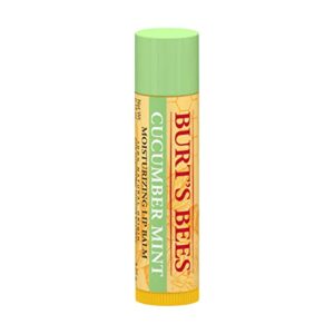 burts bees cucumber mint moisturizing lip balm for women, orange, 0.15 oz