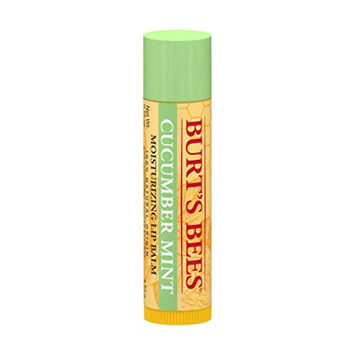 Burts Bees Cucumber Mint Moisturizing Lip Balm for Women, Orange, 0.15 Oz