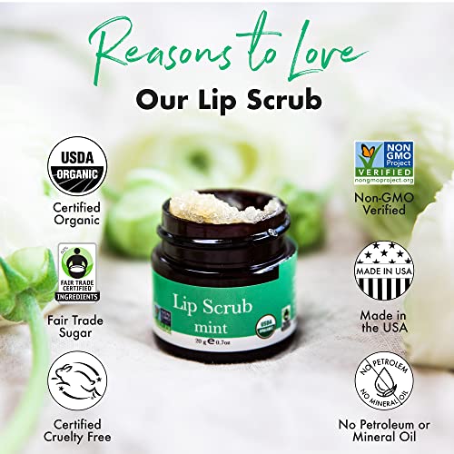 Organic Lip Scrub Mint - Lip Scrubs Exfoliator & Moisturizer, Lip Exfoliator Scrub, Sugar Lip Scrubs, Lip Sugar Scrub, Lip Care Products for Chapped Lips, Lip Scrubber, Lip Moisturizer for Dry Lips