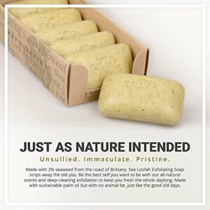 Baudelaire Exfoliating Soap, Sea Loofa Bath Soap & Body Soap, Natural Soap, Triple Milled with 100% Natural Fragrance, 2% Seaweed and Sustainable Palm Oil - 5 oz (COMES IN 6 PIECE BOX!)