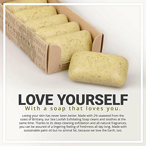 Baudelaire Exfoliating Soap, Sea Loofa Bath Soap & Body Soap, Natural Soap, Triple Milled with 100% Natural Fragrance, 2% Seaweed and Sustainable Palm Oil - 5 oz (COMES IN 6 PIECE BOX!)