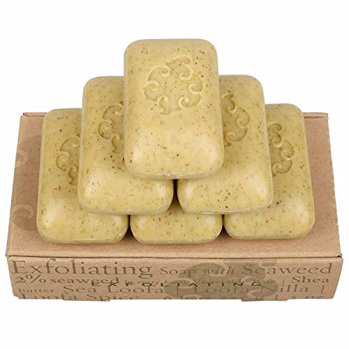 Baudelaire Exfoliating Soap, Sea Loofa Bath Soap & Body Soap, Natural Soap, Triple Milled with 100% Natural Fragrance, 2% Seaweed and Sustainable Palm Oil - 5 oz (COMES IN 6 PIECE BOX!)