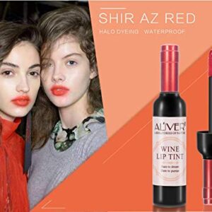 ZODENIS 5 Colors Wine Lip Tint, Wine Lipstick, Matte Lipgloss Set